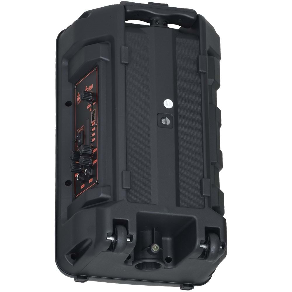 POLYGOLD Bluetooth ve USB Girişli 300W Portatif Hoparlörlü Ses Sistemi NDR-Q08