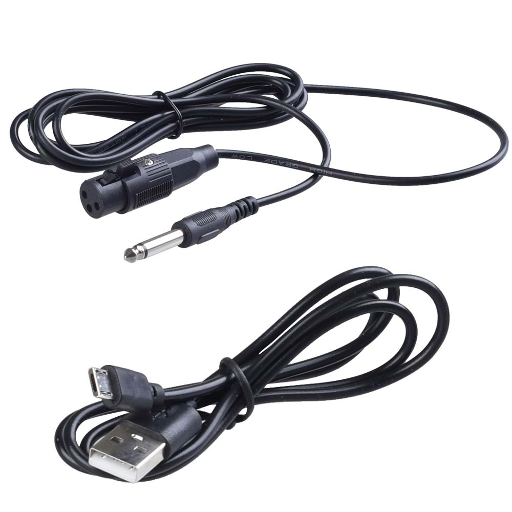 POLYGOLD Bluetooth ve USB Girişli 300W Portatif Hoparlörlü Ses Sistemi NDR-Q08