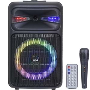 POLYGOLD Bluetooth ve USB Girişli 300W Portatif Hoparlörlü Ses Sistemi NDR-Q08